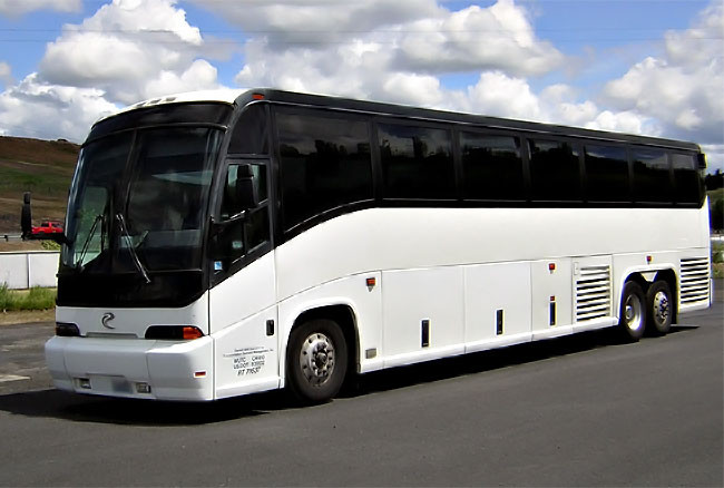 Fort Lauderdale 45 Passenger Party Bus 